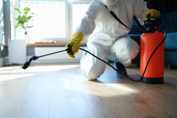 Reliable Infectious Disease Decontamination contractor in American Canyon, CA by Crime Scene Cleaner Online